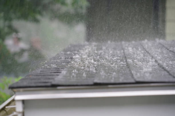 Best Metal Roofing Installation  in Baldwin, GA